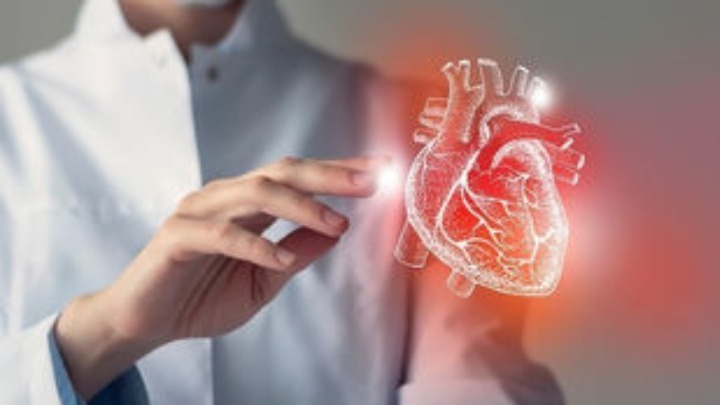 International distinction for Greek cardiology at the European Congress